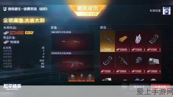 揭秘和平精英车币私下交易低价迷雾,风险与利益并存