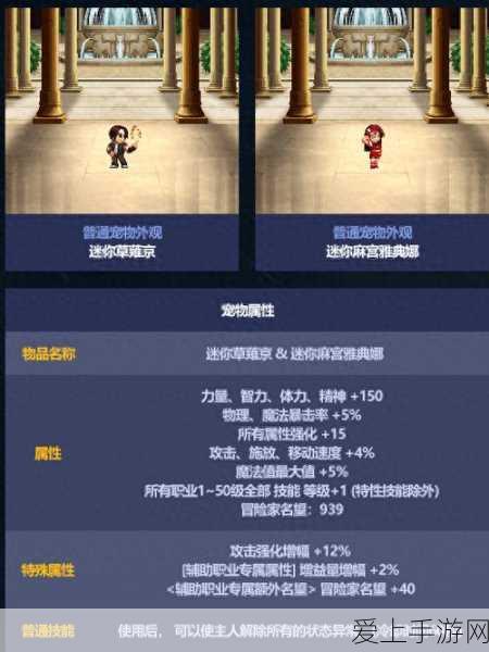 DNF2024五一庆典,SNK宝物神秘礼盒与臻选礼包大揭秘
