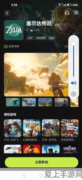 塞尔达传说王国之泪,中文设置全攻略,助你畅游奇幻世界