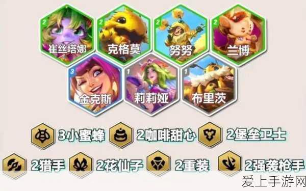 云顶之弈高手攻略,揭秘赌狗阵容与潜行者劫的完美出装