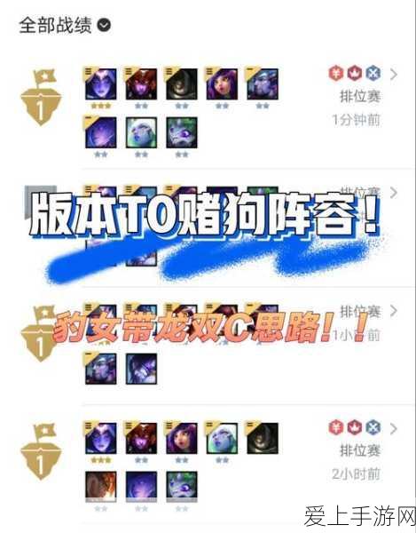 云顶之弈高手攻略,揭秘赌狗阵容与潜行者劫的完美出装
