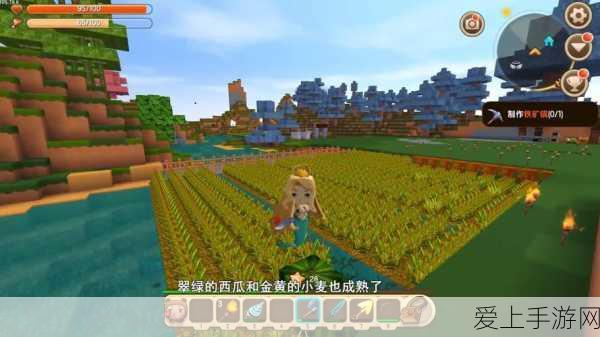 迷你世界家园,锄头获取全攻略及高效使用技巧揭秘