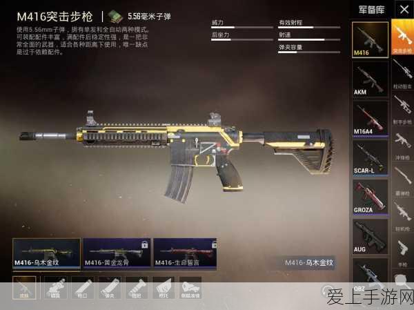 M416荣耀绽放,和平精英稀有皮肤盛宴,揭秘玩家最爱!