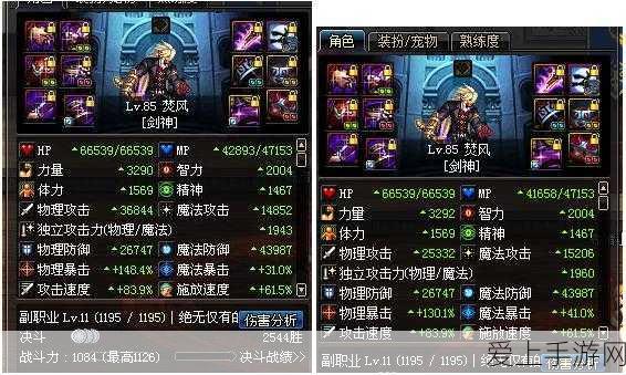 地下城与勇士,异界套未来走向深度解析与更换指南