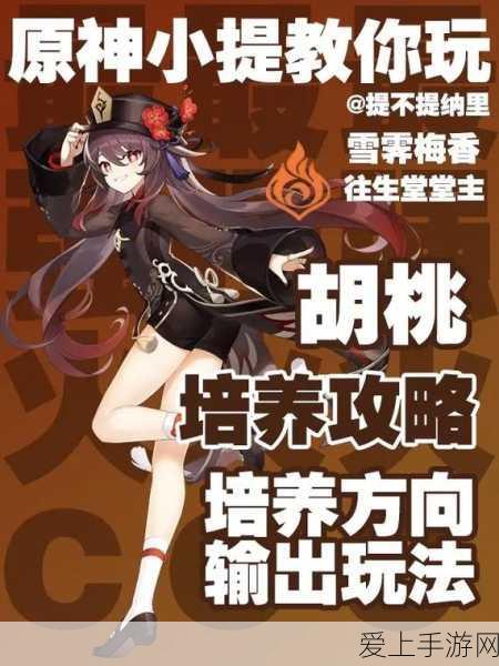 原神胡桃角色深度解析,探索游戏中的独特魅力与玩法
