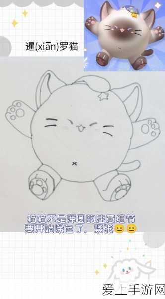 王者荣耀战队荣耀彰显，详细步骤与比赛风采揭秘