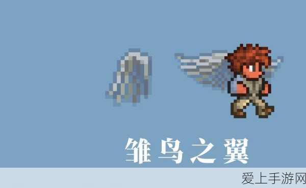 泰拉瑞亚探险新发现,翅膀搭配火箭靴,能否实现超远飞行?