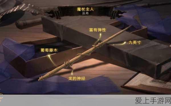 哈利波特魔法觉醒,深度解析魁地奇比赛玩法与技巧