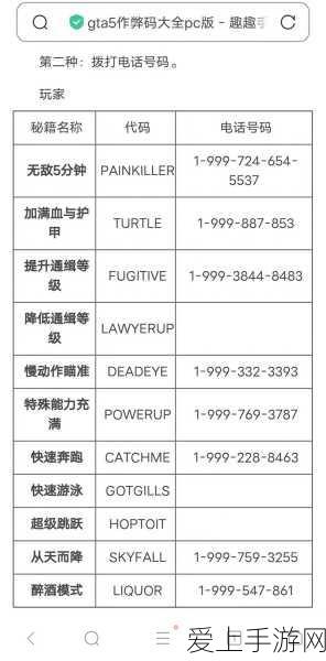 GTA5秘籍设置中文指南,一键切换,尽享游戏盛宴