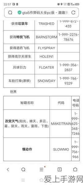 GTA5秘籍设置中文指南,一键切换,尽享游戏盛宴