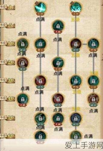 航海王燃烧意志,顶尖鹰眼米霍克阵容搭配攻略,解锁战斗新境界!