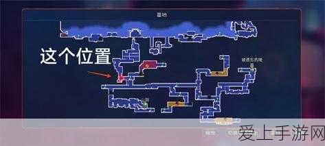 探秘重生细胞，陵墓白花与月光花钥匙的终极指南
