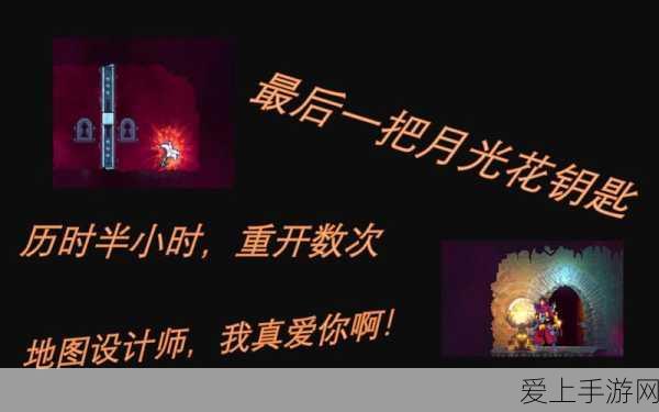 探秘重生细胞，陵墓白花与月光花钥匙的终极指南