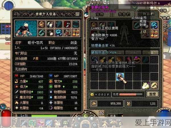 地下城与勇士，揭秘黑色双子戒指的多样类型与独特魅力