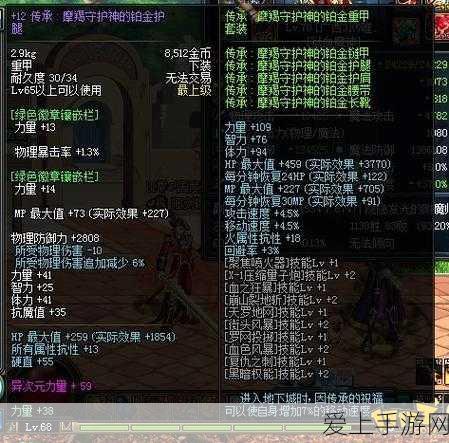 地下城与勇士，揭秘黑色双子戒指的多样类型与独特魅力