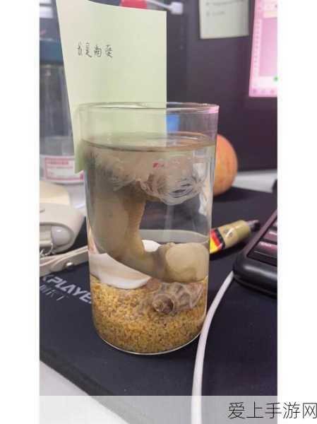 香蕉海葵鲍鱼绿巨人茄子:探索香蕉海葵与鲍鱼的奇妙世界,解析绿巨人茄子的营养价值