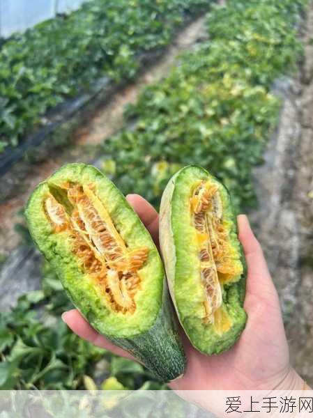51热门大瓜今日大瓜最新最快:“今日最热新闻盘点:51大瓜最新动态速递!”