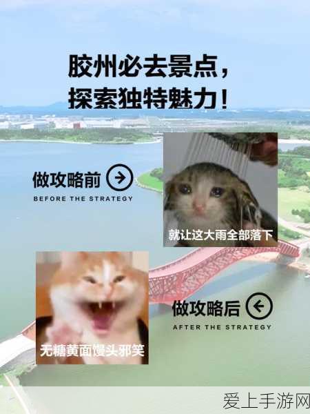 精品乱码:探索独特精品的魅力与价值,开启全新体验之旅