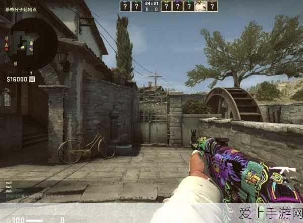 暴躁老阿姨CSGO最新:暴躁老阿姨CSGO:开启疯狂射击模式的全新冒险