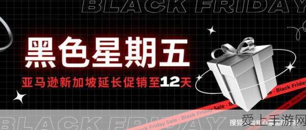 坦闪黑五活动:“黑五狂欢盛典,畅享限时优惠与惊喜折扣!”