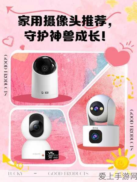 家用摄像头被盗600部：家用摄像头遭窃事件频发，损失高达600部设备