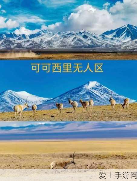 国产无人区码卡2卡三卡四卡:探索国产无人区新领域:码卡二、三、四的创新应用与发展潜力