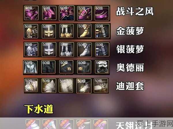 DNF手游110版本深度解析,韩服女鬼剑前5名装备搭配揭秘
