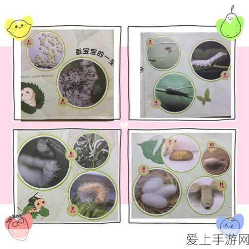 成为虫子的产卵工具:虫子孵化新生命的奇妙工具与过程探索