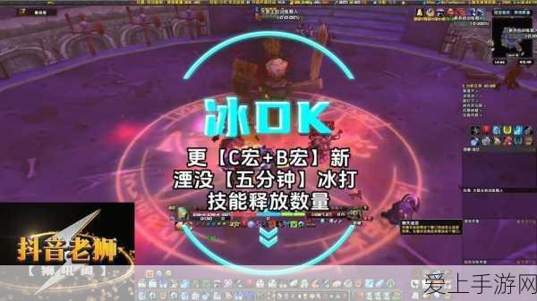 冰dk双疾病宏:冰DK双疾病宏的深度解析与实战应用技巧