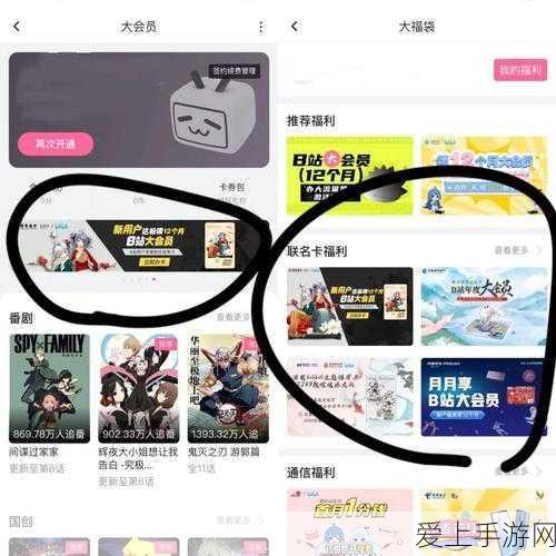 b站免费必:畅享B站免费资源,开启你的无限娱乐之旅!
