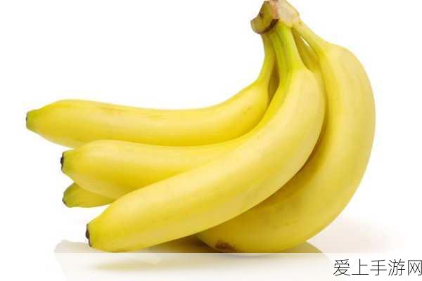 香蕉视频 阅读:探寻香蕉视频背后的创作与分享魅力之旅