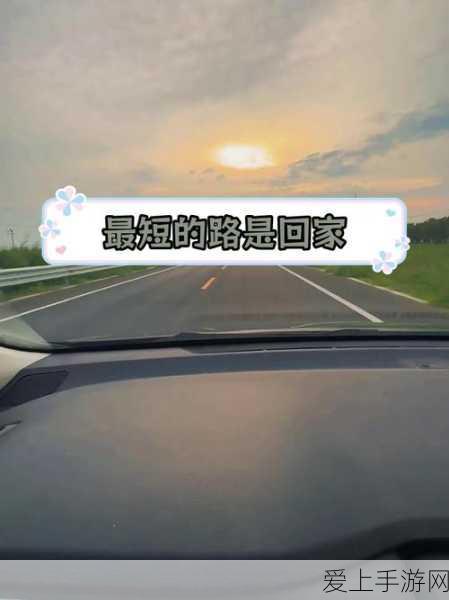 久久99回家不迷路:久久99:指引你回家的温暖旅程