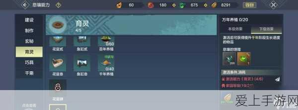 揭秘宝可梦欧米伽红宝石，全新金手指玩法深度攻略与竞技细节
