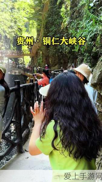 wlk达纳苏斯军需官:探索wlk达纳苏斯军需官的丰富背景与任务职责