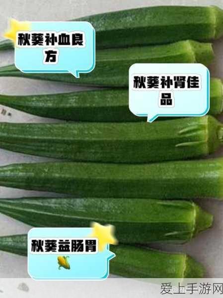 秋葵茄子丝瓜榴莲绿巨人:探索秋葵、茄子、丝瓜和榴莲的美味与营养价值