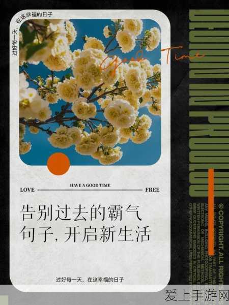 已满18带好纸巾从此转入:已满18岁,带好纸巾开启新生活的精彩篇章!
