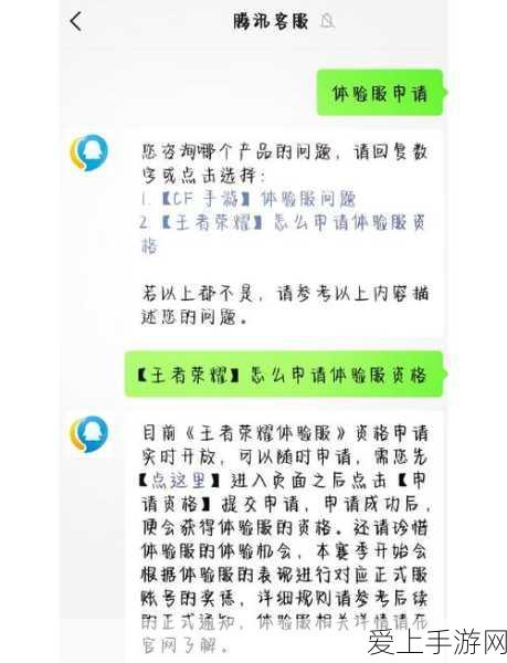 王者荣耀体验服资格获取全攻略,抢号技巧与后续指南
