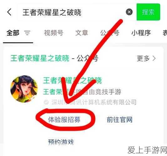 王者荣耀体验服资格获取全攻略,抢号技巧与后续指南
