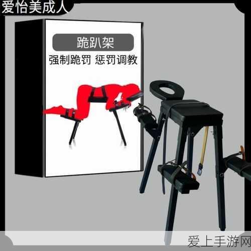 金牌惩戒师SP实验教程:金牌惩戒师SP实验教程:提升你的教育管理技能与实操技巧