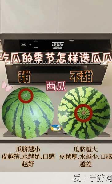 五一吃瓜今日入口:五一假期吃瓜乐趣无限,今日新鲜话题尽在其中!
