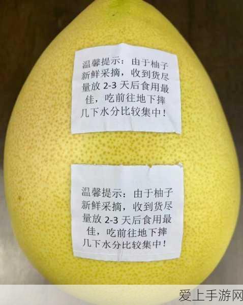 五一吃瓜今日入口:五一假期吃瓜乐趣无限,今日新鲜话题尽在其中!