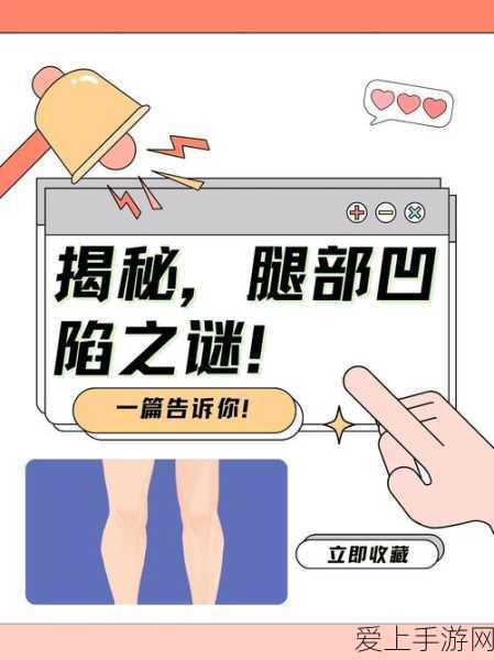 啊哈哈哈哈主人我错了哈哈哈哈有图有真相:哈哈哈,主人我错了!图文并茂揭秘真相大曝光