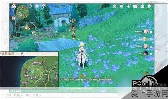 植物大战僵尸无需实名认证版揭秘，畅玩攻略与注意事项