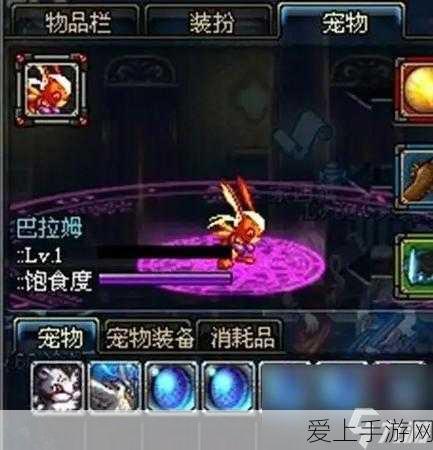 DNF手游攻略,揭秘哈帕斯宠物高效获取策略,打造无敌战斗伙伴