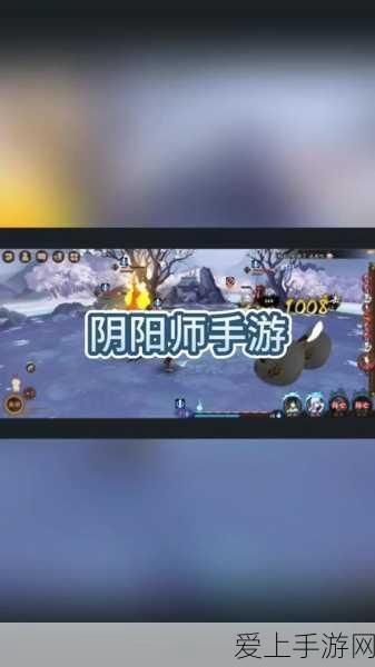 白荆回廊红玉角色深度剖析，技能、背景与战斗策略全揭秘