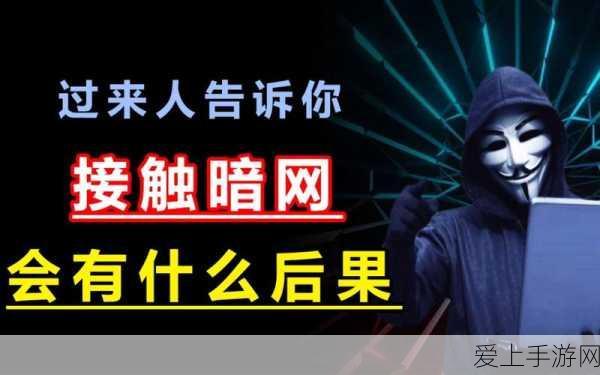 51暗网：探索51暗网：揭示隐秘网络背后的真相与风险