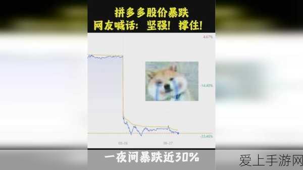 曹留2024年新一二三四五六邀请:曹留2024年新一二三四五六邀您共创美好未来