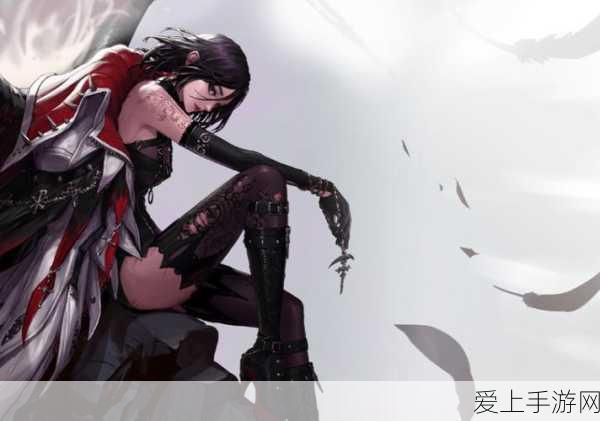 地下城与勇士,女圣骑士三觉技能全解析与加点攻略