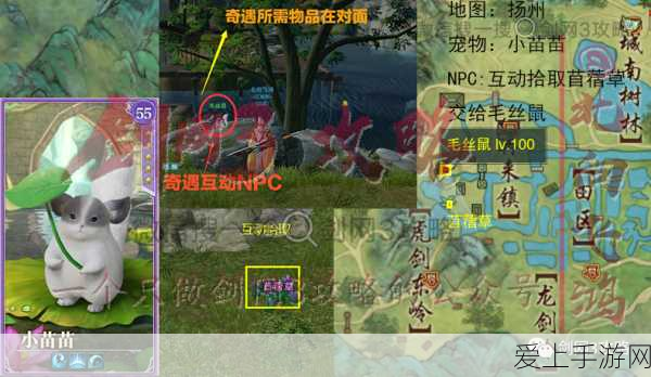 剑网3东海客奇遇触发攻略,揭秘稀有奇遇的解锁之道