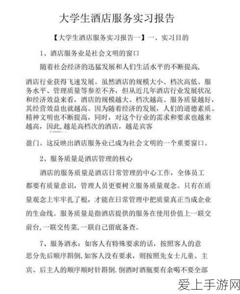 意大利《酒店服务生》:意大利酒店服务生的日常与职场挑战探讨